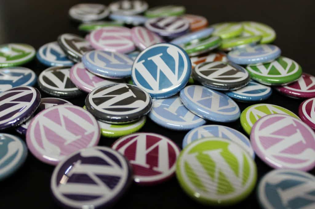WordPress All In One - First Edition
